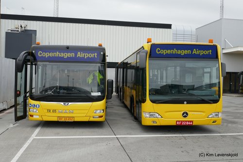 2019' MAN NL323 Lion's City L & 2008' Mercedes O530 Citaro L - man lions city l, cph, copenhagen airport, tr 65