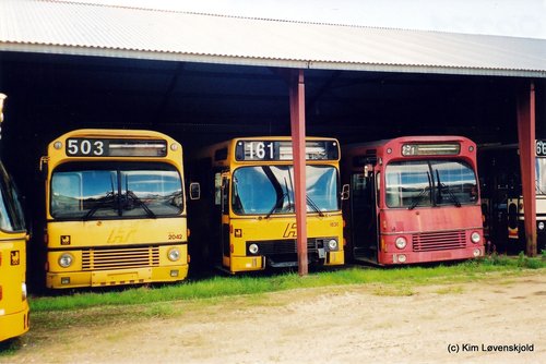 1980' Volvo B10M Aabenraa & 1984' Leyland 8-1200B & 1981' Volvo B10M Aabenraa