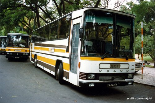 1982' Volvo B10M-60 Camo