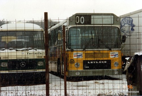 Leyland DAB series 6