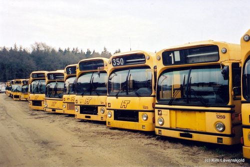 IMG 2010 01 24 (36)