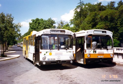 Mercedes O305