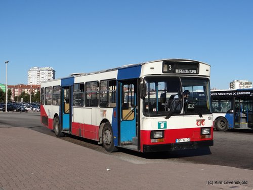 1986' Volvo B10R-56 Camo