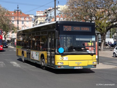 2005' MAN 18.310 HOCL CaetanoBus CityGold