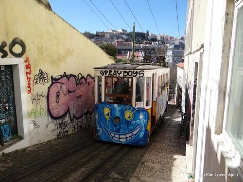 Elevadores