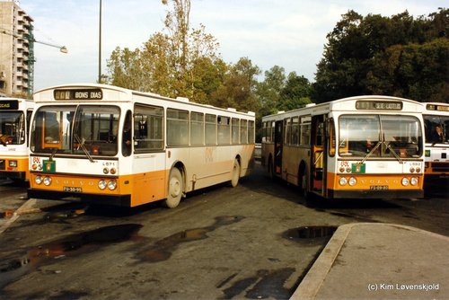1980 & 1981 Volvo B10R-55 Camo