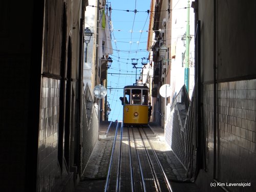 Elevadores