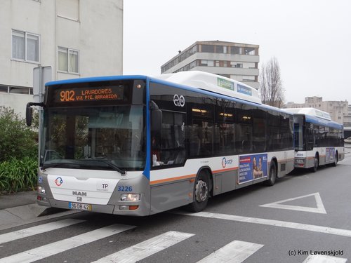 2007' MAN Lion's City CNG CaetanoBus CityGold Fashion