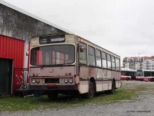 AEC Camo