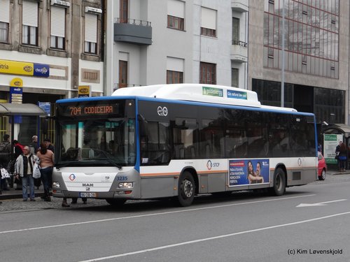 2007' MAN Lion's City CNG CaetanoBus CityGold Fashion