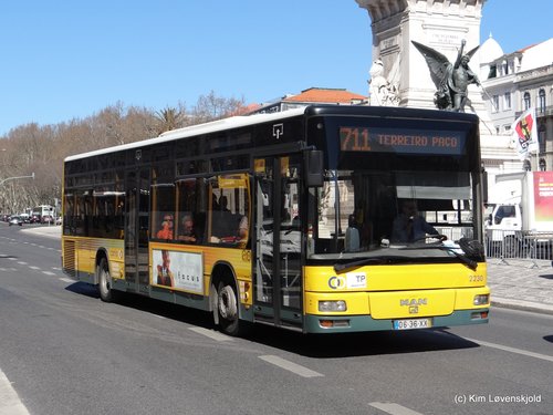 2004' MAN 18.310 HOCL CaetanoBus CityGold