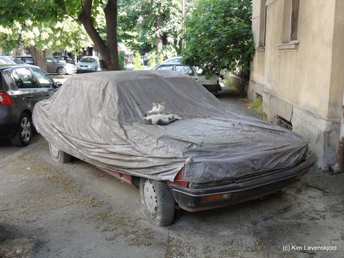 Peugeot 505