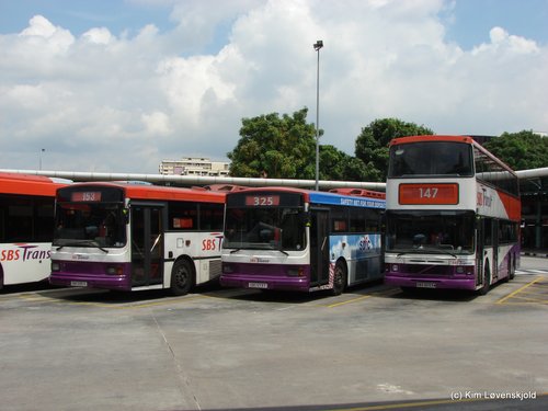 2 x Volvo B10M Duple-Metsec + Volvo Olympian Alexander
