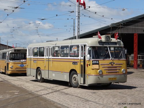 1963' Leyland LCRT 1/1 DAB