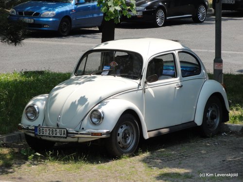 VW Beetle
