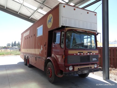 Leyland Super Buffalo
