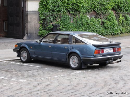 1984' Rover Vitesse
