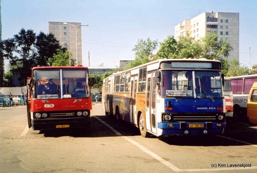 Ikarus 256 & 283