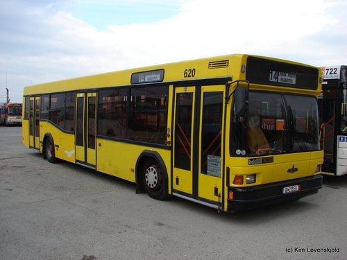 MAZ 103