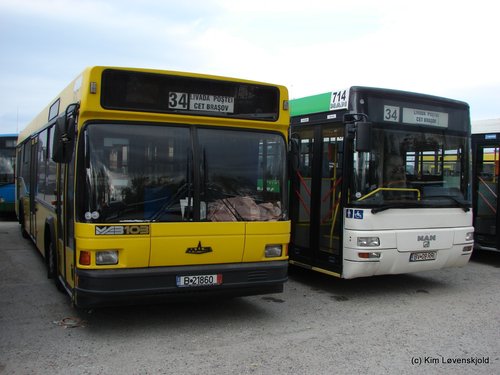 MAZ 103 & MAN A78