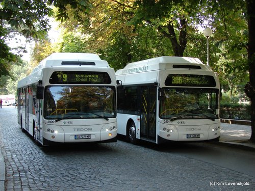 2008' Tedom C12G