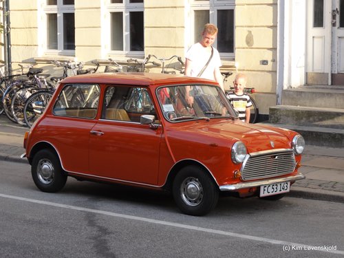 1977' Morris Mascot