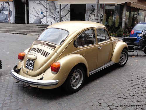 VW 1303
