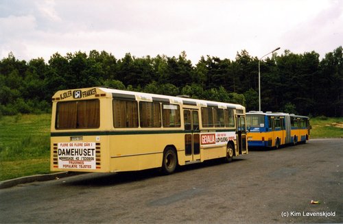 1981' Leyland 6-1-690/3 DAB