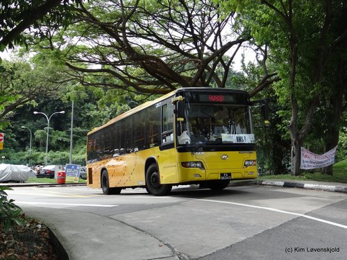 Higer KLQ6108GQ