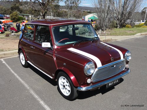 Mini