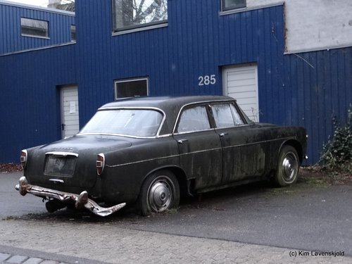 Rover