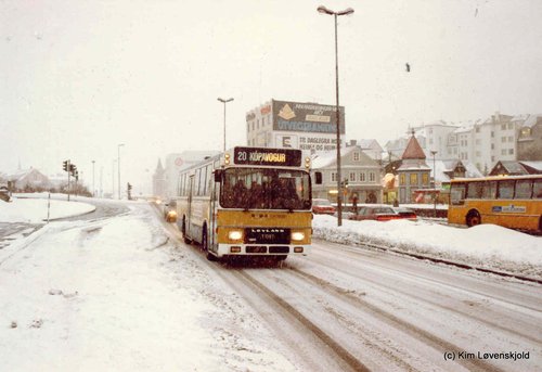 1977' Leyland LS 575-680/3 DAB Series 3