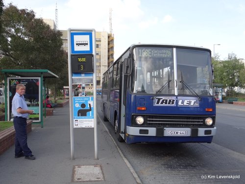 Ikarus 260