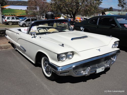 Ford T-Bird