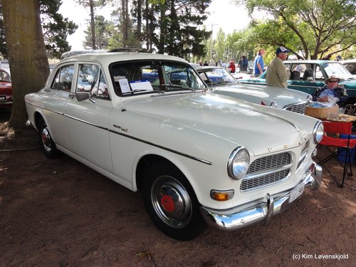 1962' Volvo 122S Anazon