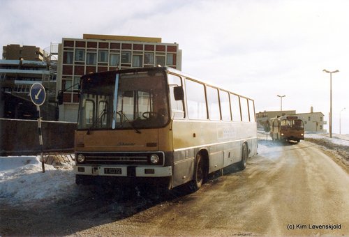 1981' Ikarus 260