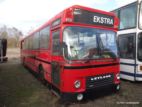 Leyland DAB series 6