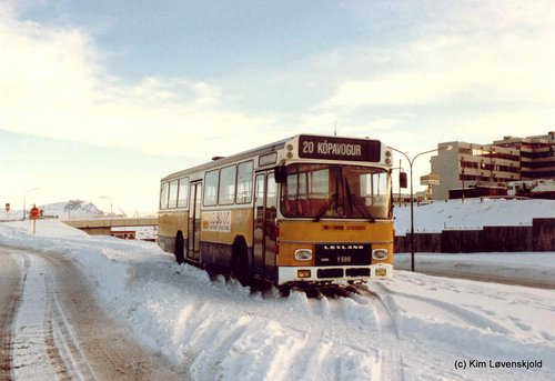 1976' Leyland LS 575-680/3 DAB Series 3