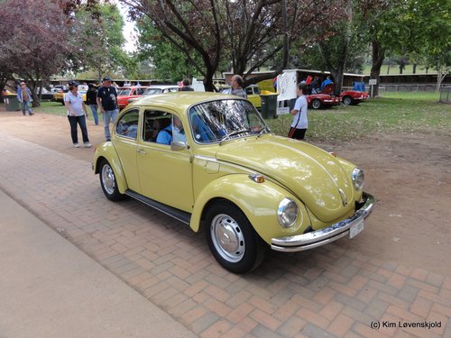 VW Beetle