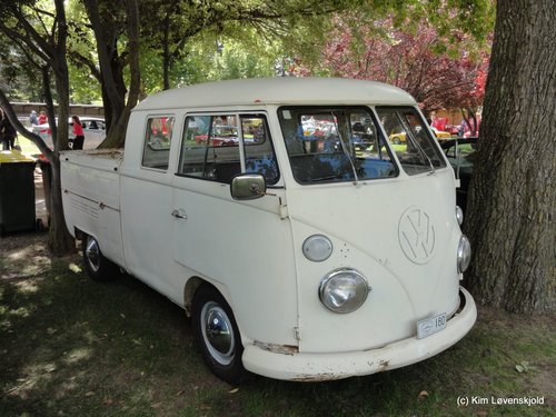 VW T1