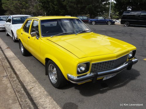 Holden Torana