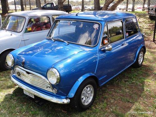 Morris Mini