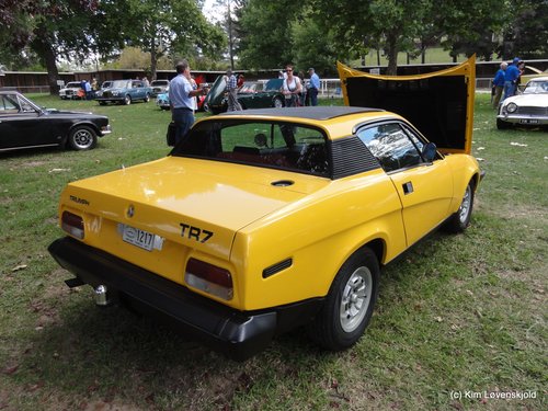 Triumph TR7