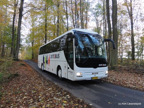 2013' MAN Lion's Coach