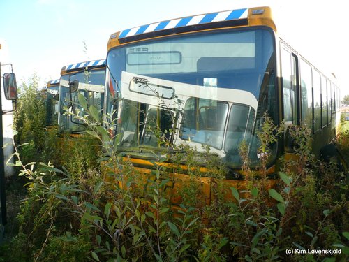 1996' DAB 15-1200C - bus, vbi