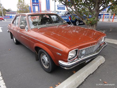 Holden Torana