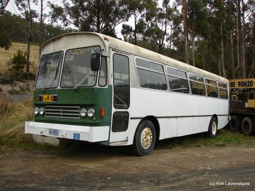 1979' Bedford YMT3 Melba