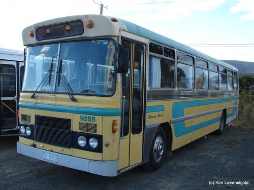 1979' Bedford BLP2 Smithfield