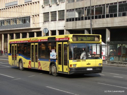 MAZ 103
