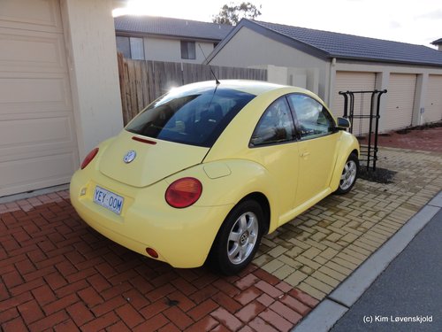 VW Beetle